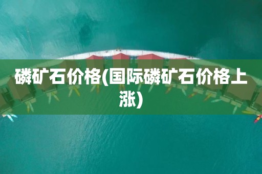 磷矿石价格(国际磷矿石价格上涨)