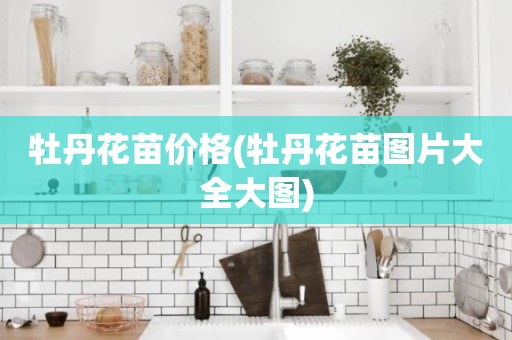 牡丹花苗价格(牡丹花苗图片大全大图)