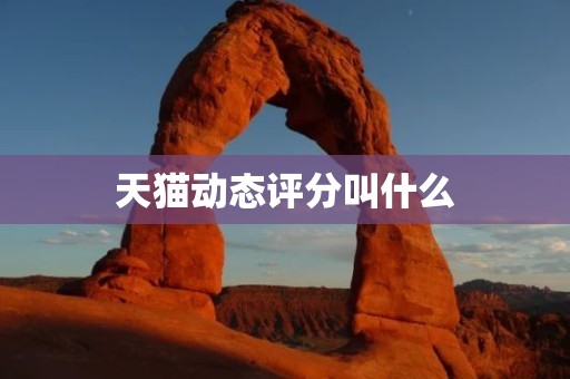 天猫动态评分叫什么