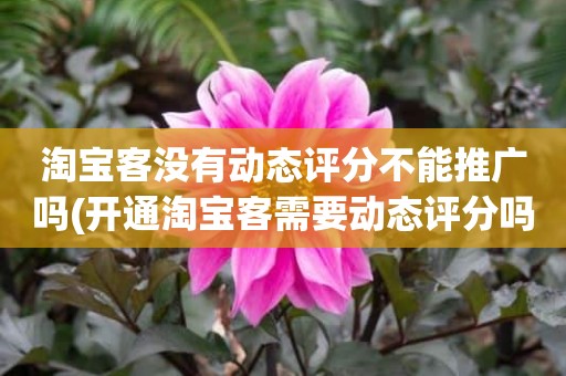 淘宝客没有动态评分不能推广吗(开通淘宝客需要动态评分吗)