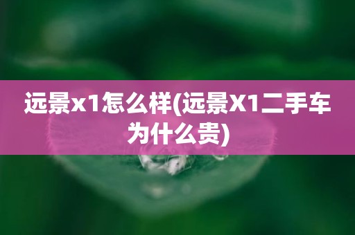 远景x1怎么样(远景X1二手车为什么贵)