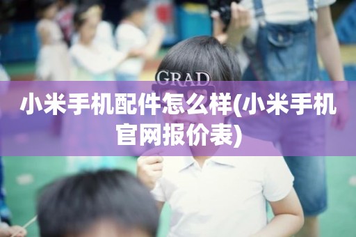 小米手机配件怎么样(小米手机官网报价表)