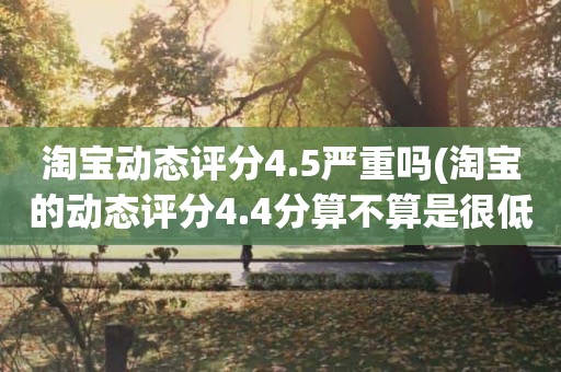 淘宝动态评分4.5严重吗(淘宝的动态评分4.4分算不算是很低的分)