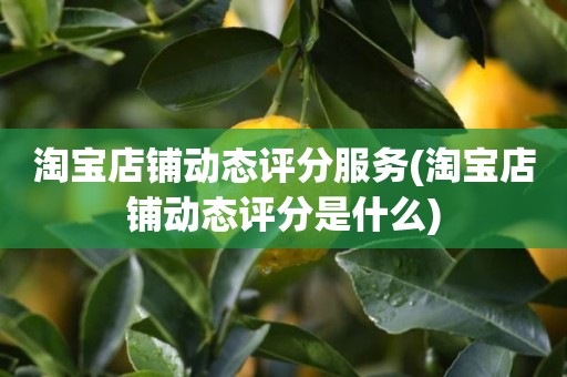 淘宝店铺动态评分服务(淘宝店铺动态评分是什么)