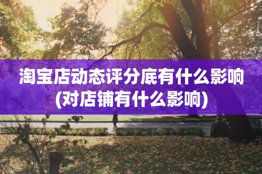 淘宝店动态评分底有什么影响(对店铺有什么影响)