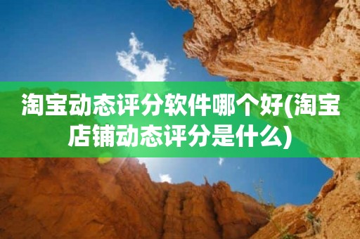 淘宝动态评分软件哪个好(淘宝店铺动态评分是什么)