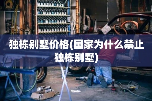独栋别墅价格(国家为什么禁止独栋别墅)