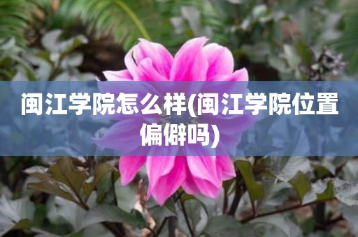 闽江学院怎么样(闽江学院位置偏僻吗)