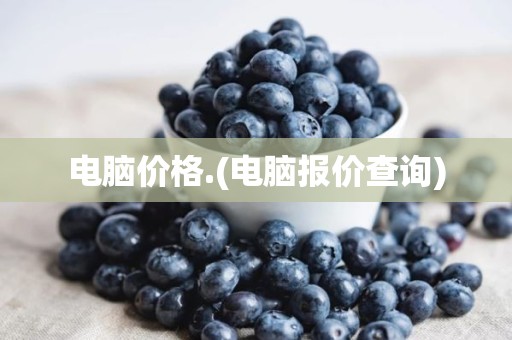 电脑价格.(电脑报价查询)
