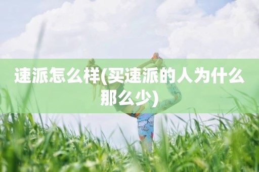 速派怎么样(买速派的人为什么那么少)