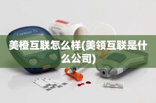 美橙互联怎么样(美领互联是什么公司)