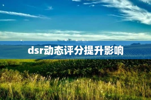 dsr动态评分提升影响