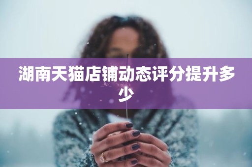 湖南天猫店铺动态评分提升多少