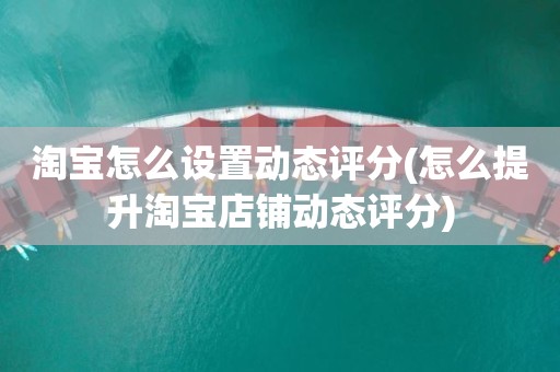 淘宝怎么设置动态评分(怎么提升淘宝店铺动态评分)