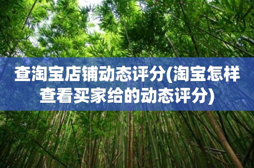 查淘宝店铺动态评分(淘宝怎样查看买家给的动态评分)