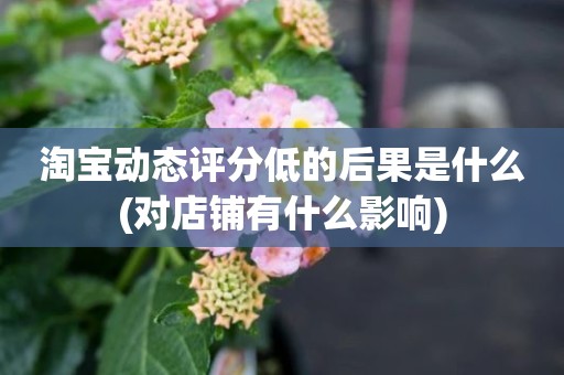 淘宝动态评分低的后果是什么(对店铺有什么影响)