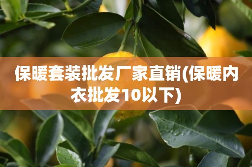 保暖套装批发厂家直销(保暖内衣批发10以下)