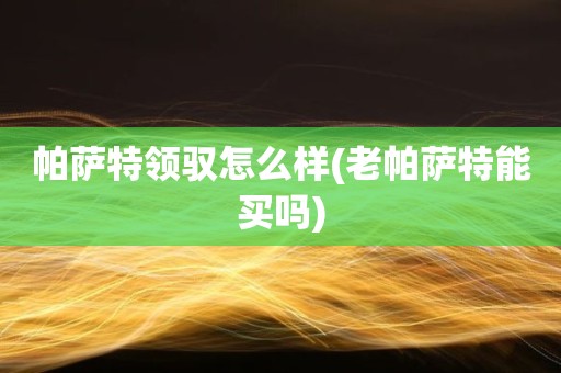 帕萨特领驭怎么样(老帕萨特能买吗)