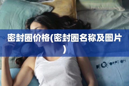 密封圈价格(密封圈名称及图片)