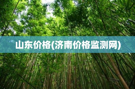 山东价格(济南价格监测网)