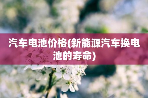 汽车电池价格(新能源汽车换电池的寿命)