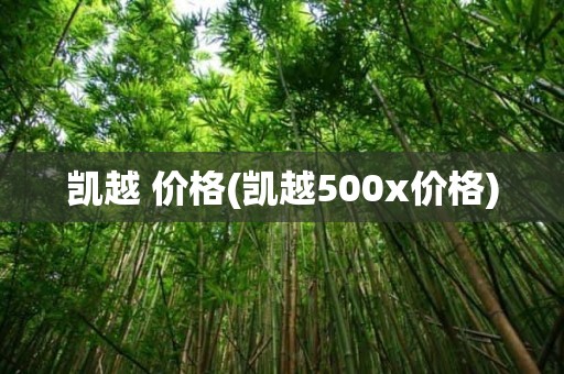 凯越 价格(凯越500x价格)