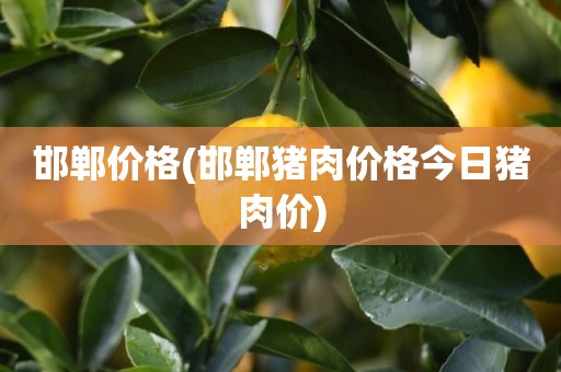 邯郸价格(邯郸猪肉价格今日猪肉价)