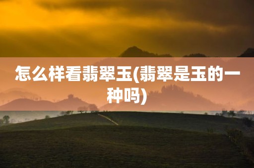 怎么样看翡翠玉(翡翠是玉的一种吗)