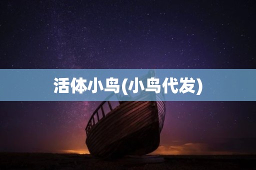 活体小鸟(小鸟代发)