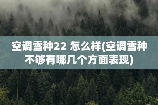 空调雪种22 怎么样(空调雪种不够有哪几个方面表现)