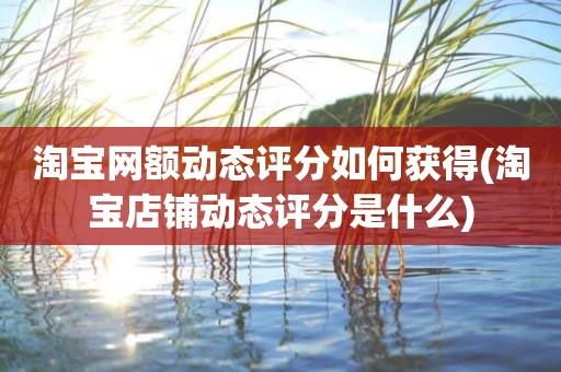 淘宝网额动态评分如何获得(淘宝店铺动态评分是什么)