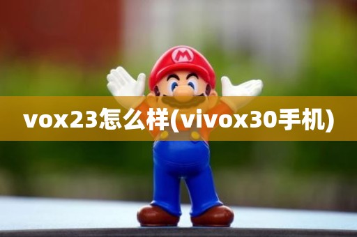 vox23怎么样(ⅵvox30手机)