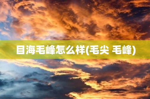 目海毛峰怎么样(毛尖 毛峰)