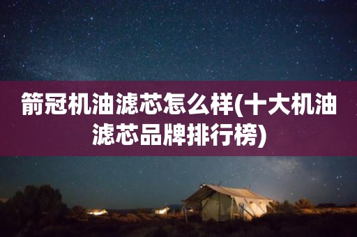 箭冠机油滤芯怎么样(十大机油滤芯品牌排行榜)