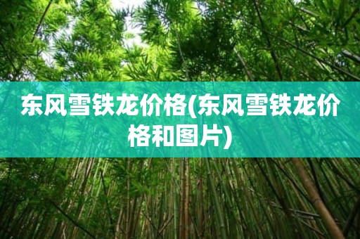 东风雪铁龙价格(东风雪铁龙价格和图片)