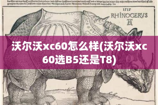 沃尔沃xc60怎么样(沃尔沃xc60选B5还是T8)