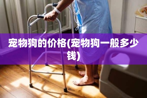 宠物狗的价格(宠物狗一般多少钱)