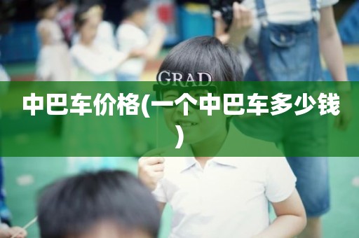 中巴车价格(一个中巴车多少钱)