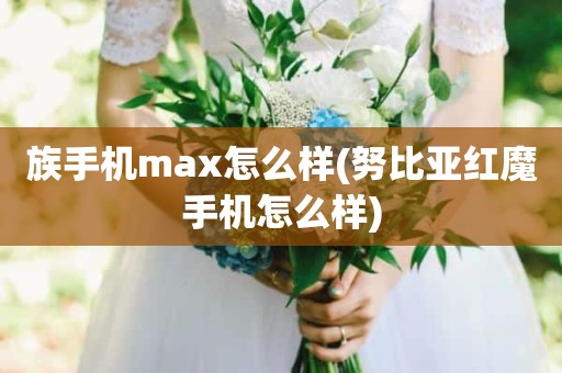 族手机max怎么样(努比亚红魔手机怎么样)