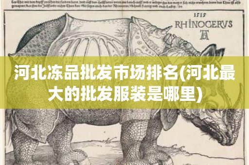 河北冻品批发市场排名(河北最大的批发服装是哪里)