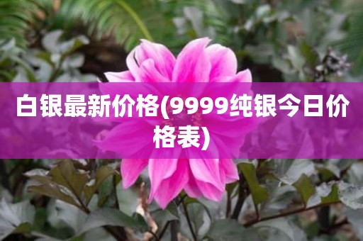 白银最新价格(9999纯银今日价格表)