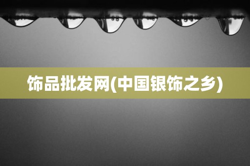 饰品批发网(中国银饰之乡)
