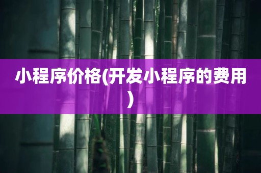 小程序价格(开发小程序的费用)