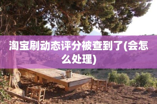 淘宝刷动态评分被查到了(会怎么处理)