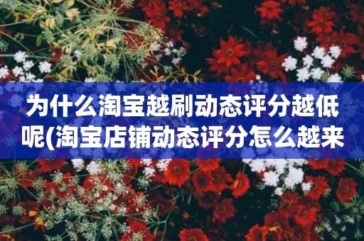 为什么淘宝越刷动态评分越低呢(淘宝店铺动态评分怎么越来越低)