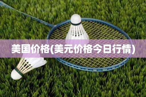美国价格(美元价格今日行情)