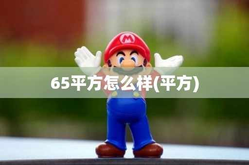 65平方怎么样(平方)