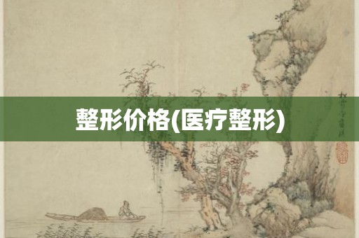 整形价格(医疗整形)