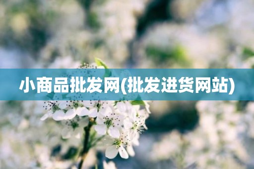 小商品批发网(批发进货网站)