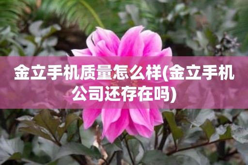 金立手机质量怎么样(金立手机公司还存在吗)
